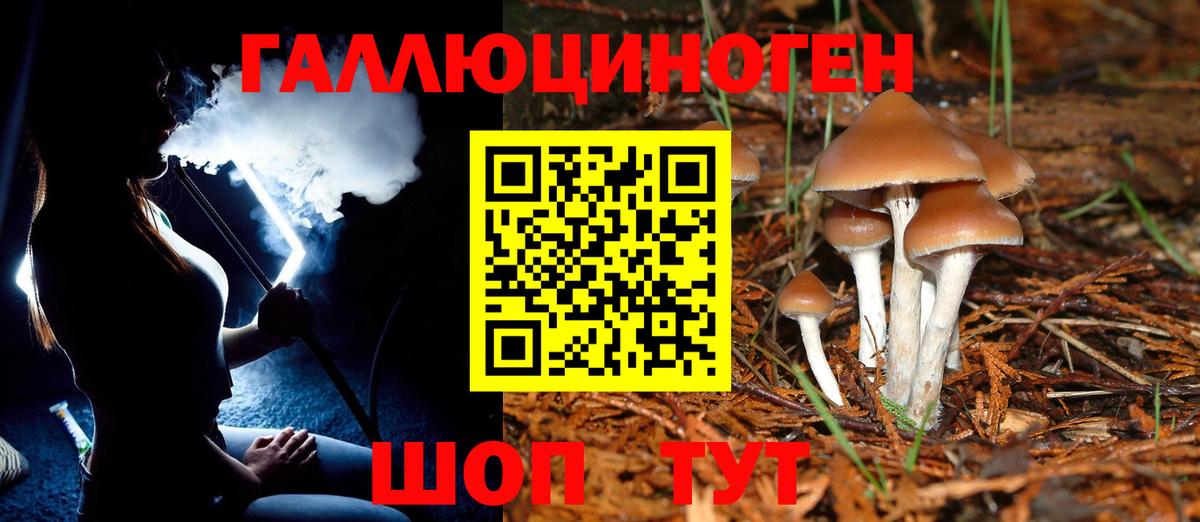 Россошь  Галлюциногенные грибы ЛСД  Галлюциногенные грибы Magic Shrooms  даркнет сайт  Вход с VPN 